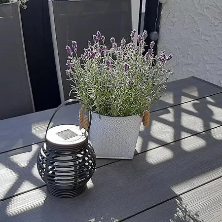 Augenblicke In - Modernes Mit Garten